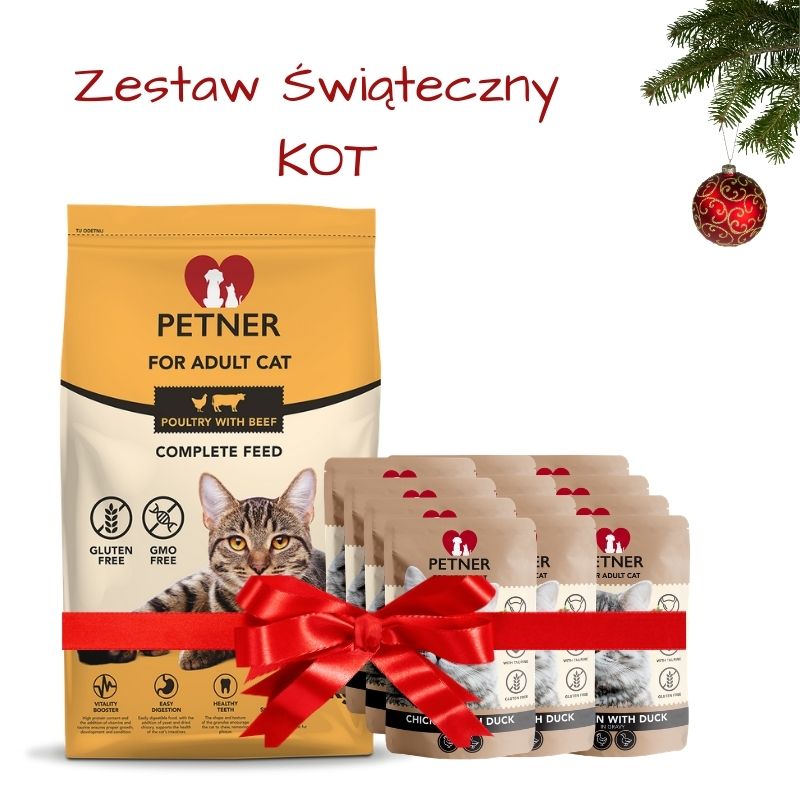 zestaw-swiateczny-kot