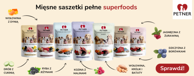 superfoods dla psa
