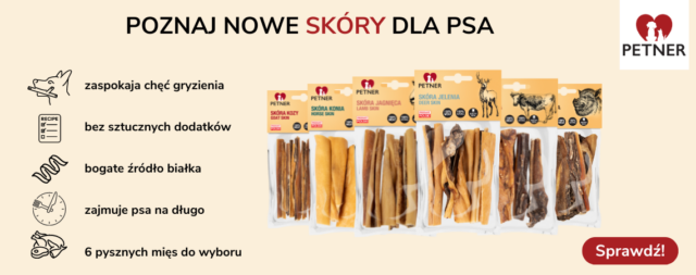 Petner skóry dla psa